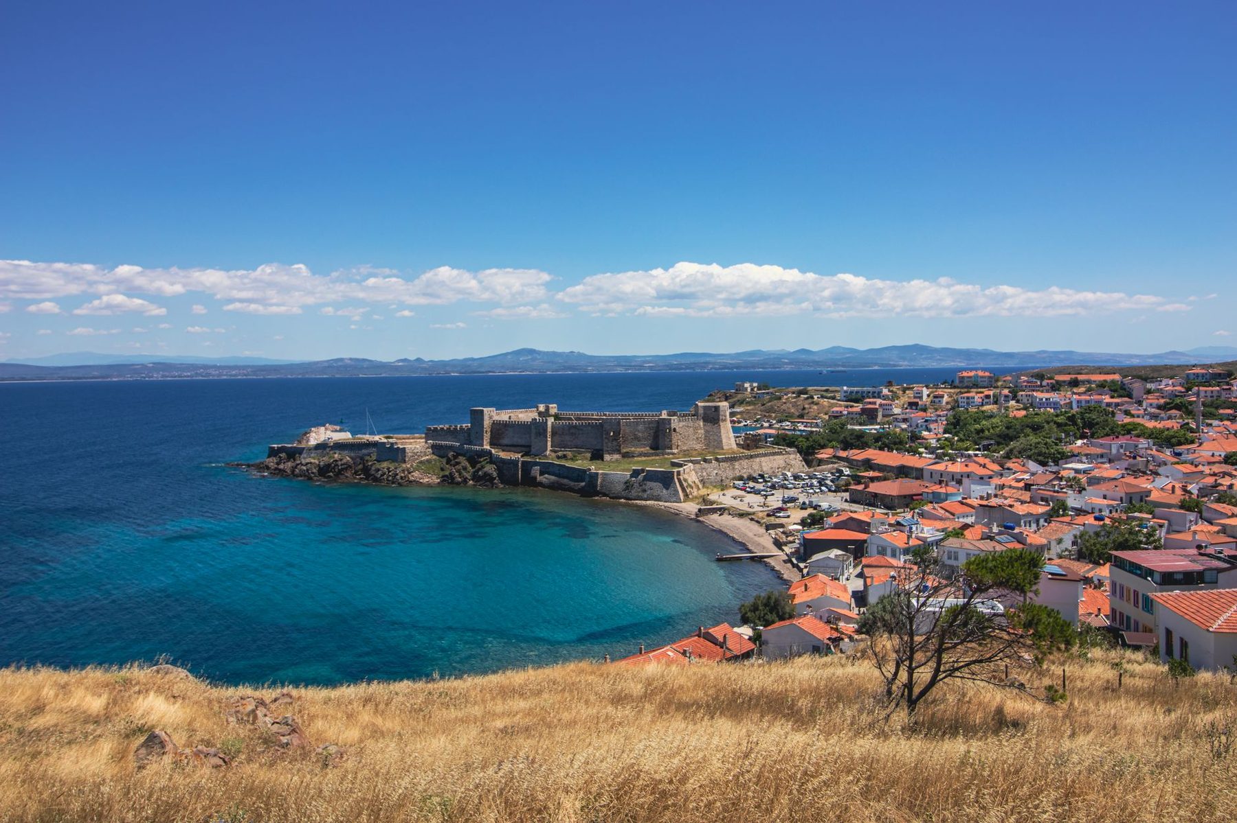 La baie de Collioure vue des hauteurs, le fort et les toits au bord de l'eau