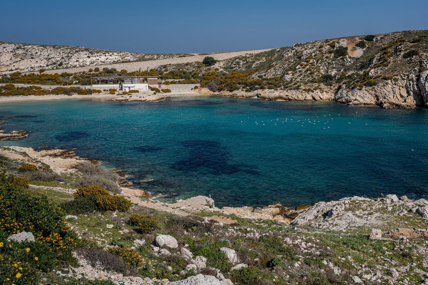 Anse d'eau turquoise bordée de garrigue